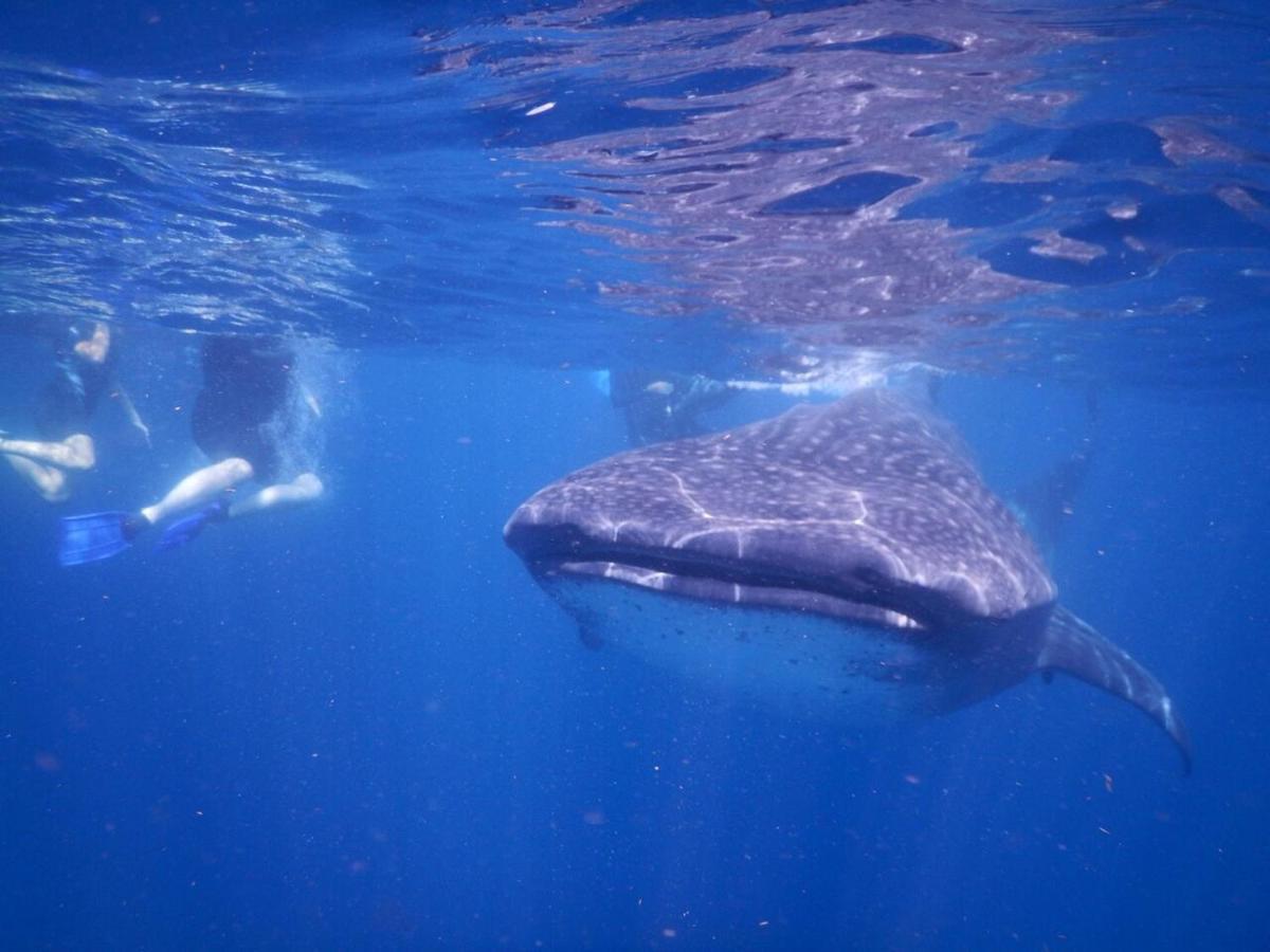 Willa Casa Brisa Y Mar Puerto Morelos Zewnętrze zdjęcie
